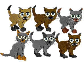 purebred hex free siamese