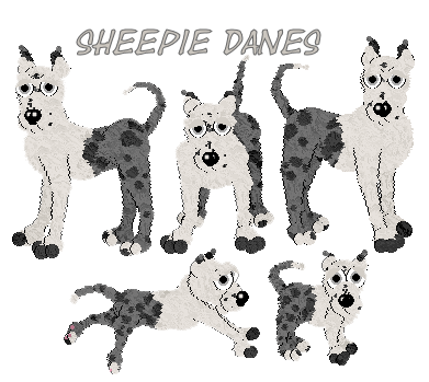 dane hexie
