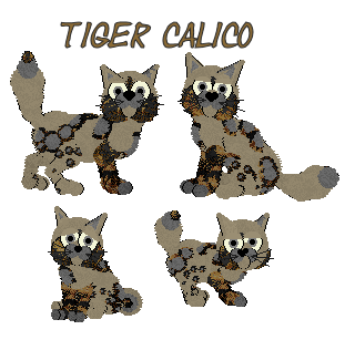 calis