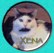 Welcome to Xena'a Page
