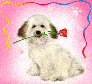 Animated Dog
