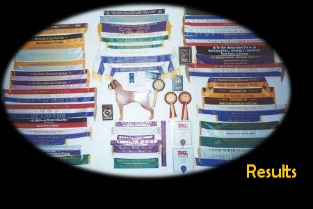 Ribbon Wall