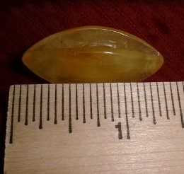 amber shuttle