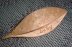 Birdeye Maple shuttle