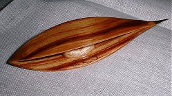Shuttle