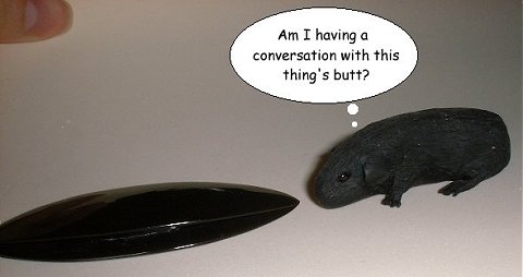 Guinea pig meets tatting shuttle