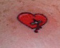 See, I told you it woun't HURT to bad!!!