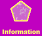 Information