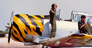 Harvard Mk.IV 1774 at Tiger Meeting (L.Tavares)