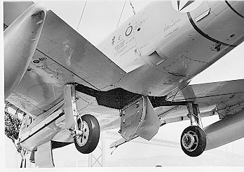 5338 detail of landing gear (L.Tavares)