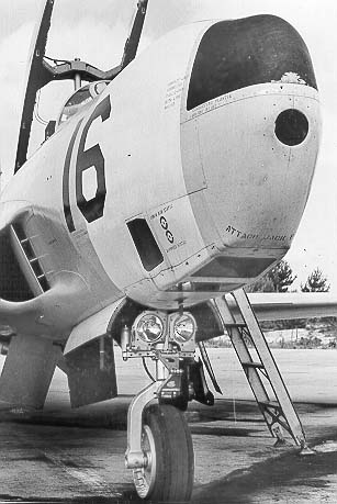 RT-33 1916 nose (L.Tavares)