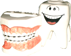 Taylor-Rivera Dental Clinic - Smile with Bright Teeth