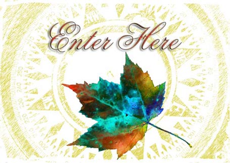 Enter here