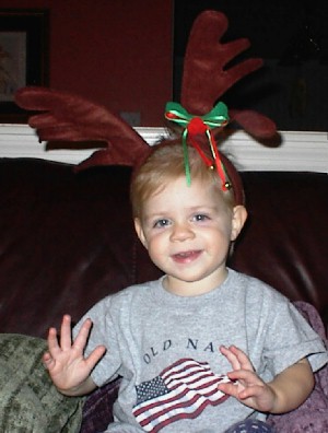 Reindeer Taylor
