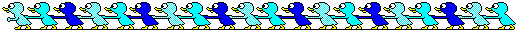 blue ducks