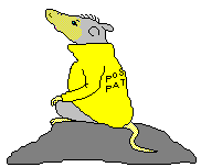 Pierre