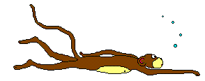 seamonkey
