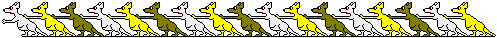 yellow roos
