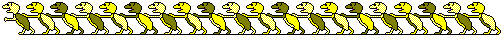 yellow turtles