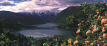 Ulstein - Hardanger