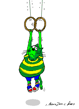 Cat on Rings