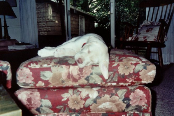 Scout_2002_01