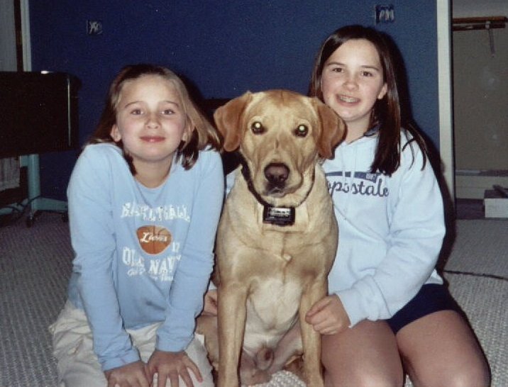 Taylor_2004_01