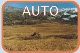 ["Ascat" Ltd (Mountain Altai, Russia) - automobile, horseback adventure,
        hiking and combined routes in Mountain Altai, Russia. Route to mystic place - Ykok plateau]