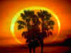 100ringoffire_mammana.jpg (104344 bytes)