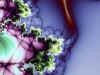 5_neuro1.JPG (102453 bytes)