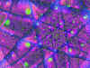 fcolour0661.jpg (469952 bytes)