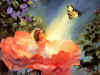st clair mary baxter_the golden butterfly.jpg (123031 bytes)