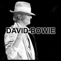 bowie