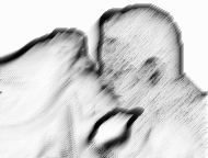 Shippy Stuff