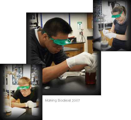 lab
