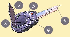 Automatic Auto