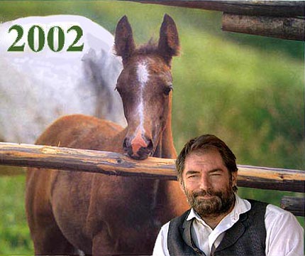 ���� � ������ - Films and Horses