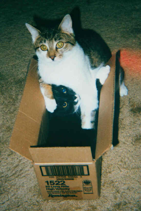 Tigger and Nikki--Late 1980s