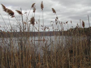 RI's Bonus Geocache-1