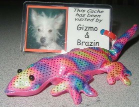 Gizmo & Brazin 2