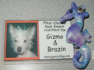 Gizmo & Brazin 3