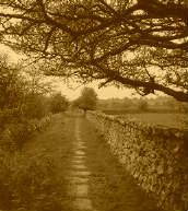Click for Caradon Railways