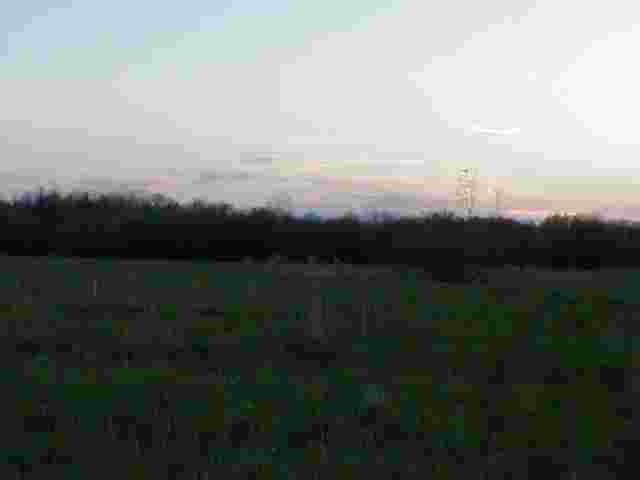 tpic1.jpg - 74454 Bytes