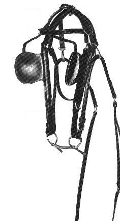 /user/lthdrivingbridle.jpeg