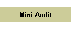 Mini Audit