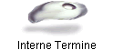Interne Termine