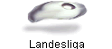 Landesliga