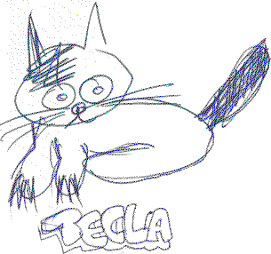 Tecla (4)