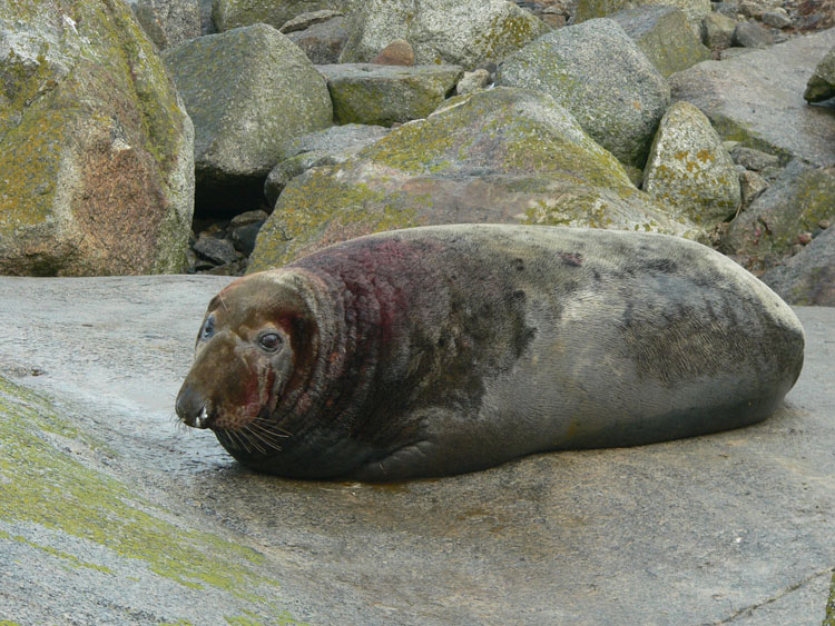P1190842