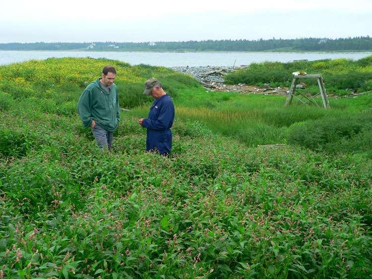 The vegetation has changed - N. Brother (Rémi and Roland in photo) - Ted D'Eon photo